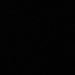 Meet your Posher, Fern